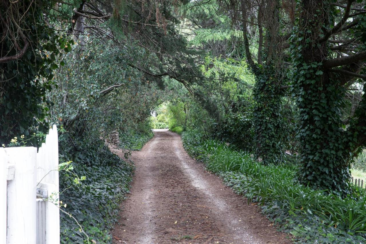 The Leafy Flat Lejlighed Havelock North Eksteriør billede