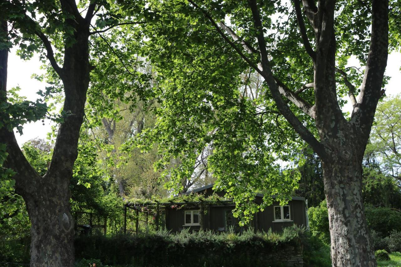 The Leafy Flat Lejlighed Havelock North Eksteriør billede